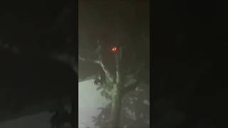 We're most Definitely Doomed!!!