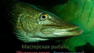 Мастерская рыбака. Фидерная ловля.  Ловля хищников