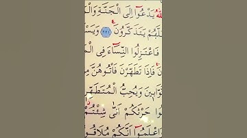 سورة البقرة الأية 222 القارئ مشاري راشد العفاسي