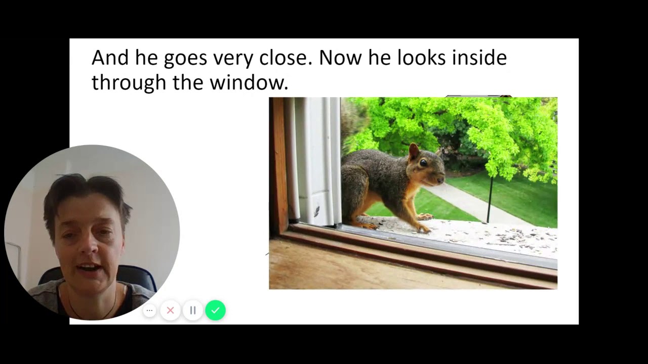 Sam Squirrel Sam, the Squirrel - YouTube