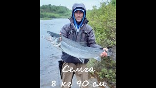 РЫБАЛКА, ТРОФЕЙНАЯ СЕМГА 8 кг, Мурманск , река Кола 2019 ).