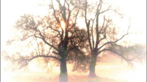 Your own worst enemy