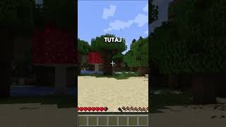 Minecraft ale nie moge powiedziec litery ,,b''