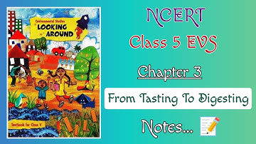 Class 5 EVS Chapter 3 From Tasting To Digesting // NCERT // Notes // Part 1