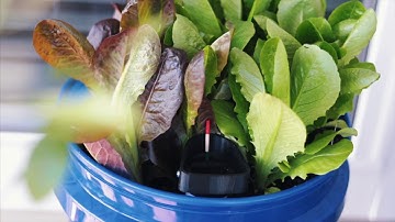 GroBucket Kickstarter Video