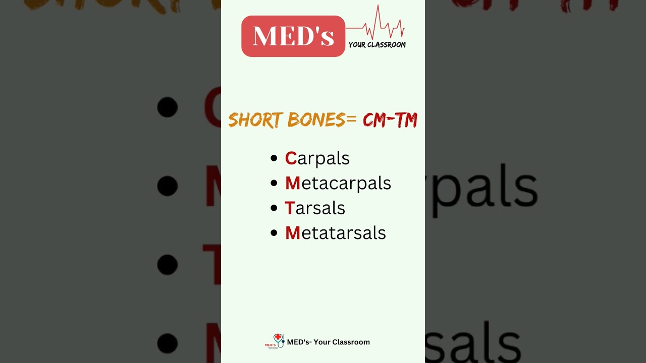 Short bone with Trick | 