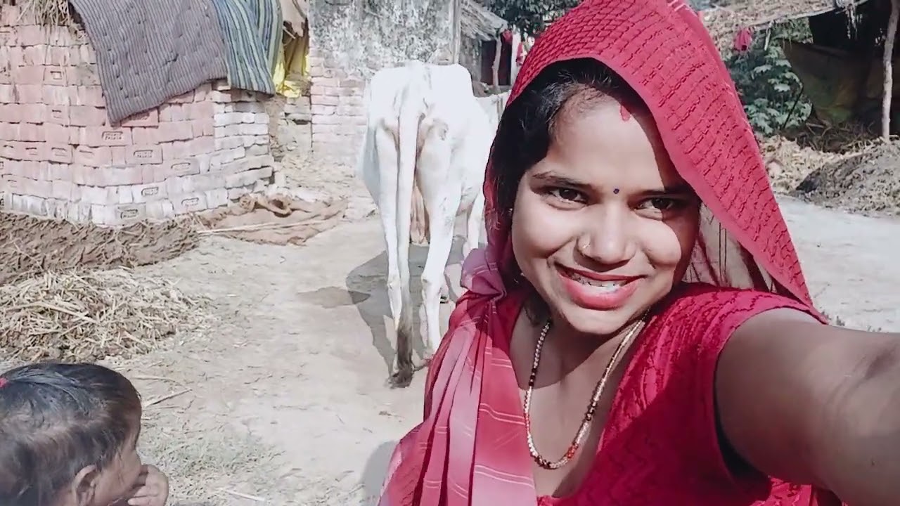 मालती धूप में बैठी है 🌹👍❤️‍🩹