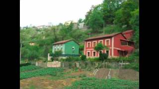 LA LLANIELLA A LA CUESTONA (SAN MARTÍN DEL REY AURELIO, ASTURIES)