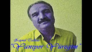 Zeynel Tatlıses / Bir Beyaz Mendil