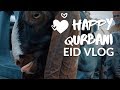 HAPPY QURBANI | Eid vlog