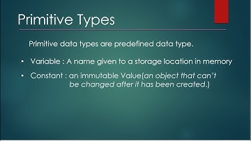 C# Data Types Tutorial(Primitive & Non Primitive Data Types)