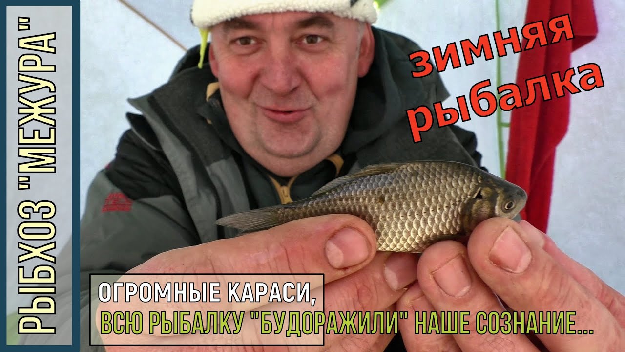 Рыбалка по ПЕРВОМУ ЛЬДУ/рыбхоз МЕЖУРА/ловится всё, кроме карася! - YouTube
