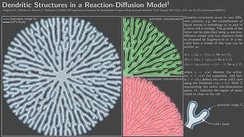 Dendritic Structures in a Reaction-Diffusion Model