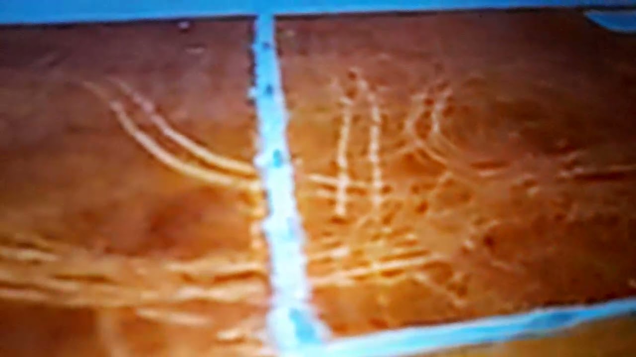 మన అమరావతి❤️ అబ్బా భలే గుందిరా జనవరి 26 రిపబ్లిక్ డే వేడుకలకు సిద్ధమవుతున్న మన పరేడ్ గ్రౌండ్ 