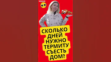 За сколько дней термиты съедят мой дом в Калифорнии? #termites #shorts #realestate #realtor