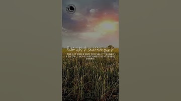 Thumbnail of Surah Al Hadid Verse 20 | Saad Al Ghamdi #yt #trending #ytshorts #ytviral #humanity #reels #quran