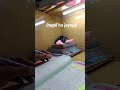 study #shorts #motivation #viral #motivational #shortvideo