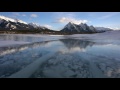 Ice Bubbles Under a Puddle - Abraham Lake 4K