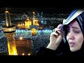 Lover of imam reza heartbreaking noha  hamed zamani  abdolreza helali  official