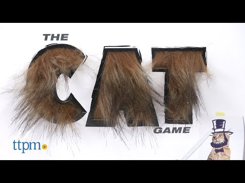the-cat-game-from-spin-master