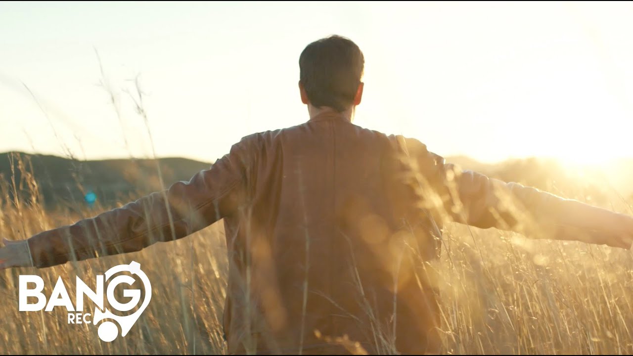 DJ ROSS, POUL - Friends For The Night (Lyrics Video)