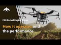 Alphaswift F30 Hybrid Agriculture Drone Flight Demo