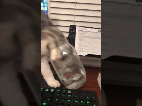 Time To Buy A New Keyboard Tiktok Tjkelly17 