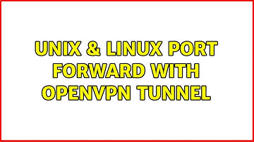 Unix & Linux: Port forward with OpenVPN Tunnel