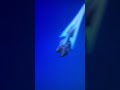 What is this? #fortnite