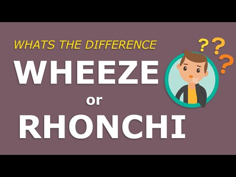 Lung Sounds - Wheeze vs Rhonchi - what is the difference ?