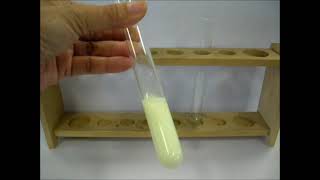 Testing for anions