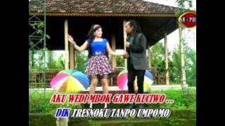 Arya Satria Feat. Erin Sabrina - Tresno Marang Rondo | Dangdut ( Music Video)