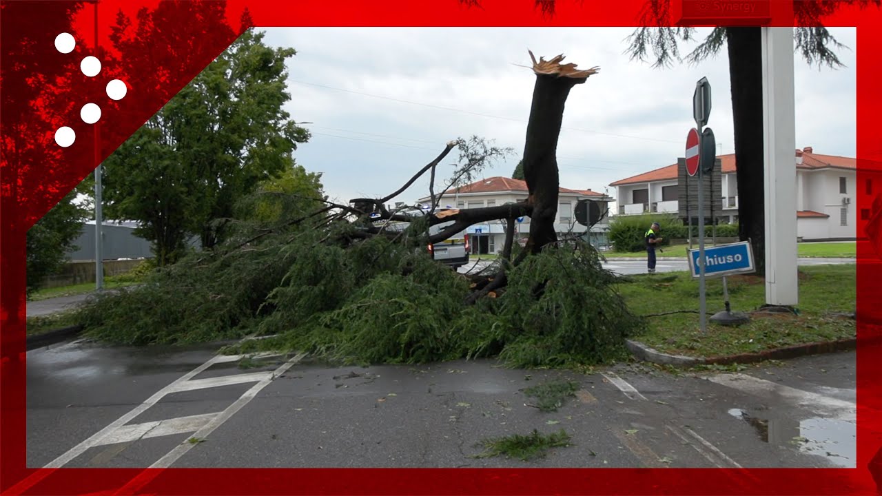 Nuova tempesta su Seregno: alberi caduti, strade bloccate