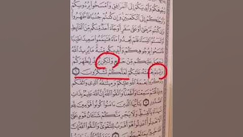 ( متشابهات سورة المائدة ) عوض هادي الجميلي