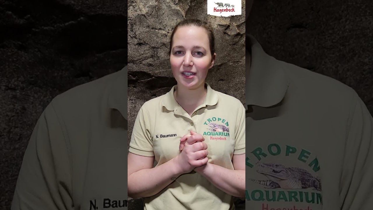 Morgenroutine bei den Fledermäusen