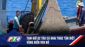 Quảng Ngãi: Tạm giữ 02 tàu cá khai thác tận diệt vùng biển ven bờ | PTQ