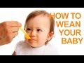 Baby Feeding Tips (Part 1): Weaning Your Baby