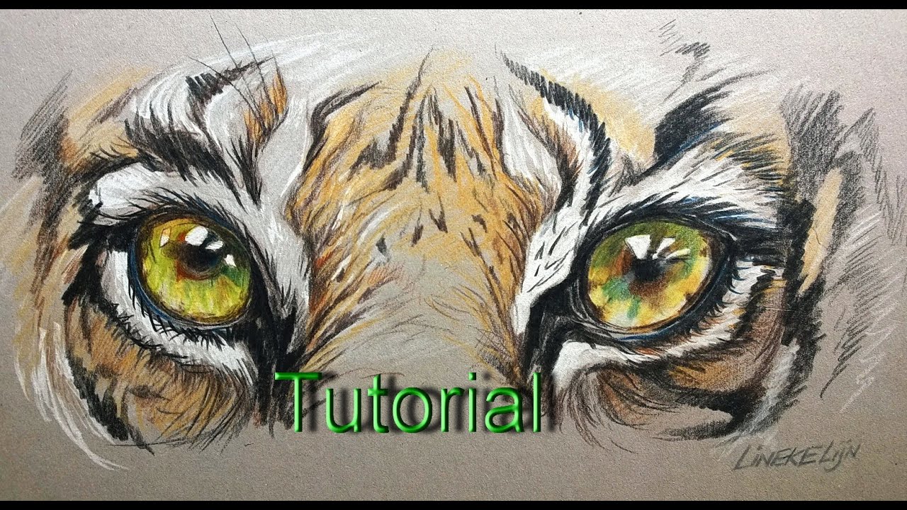 Drawing Realistic TIGER Eye for beginners - color pencil on colored