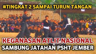 Keganasan Atlit Nasional Sambung Jatahan Psht Jember