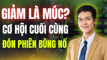 Rung Lắc Nhẹ: Thời Điểm Vàng Mua Giá Tốt Trước Sóng Hồi Cuối Lên 1700