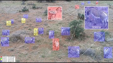 A Framework for Fast, Large-scale, Semi-Automatic Inference of Animal Behavior from Monocular Videos
