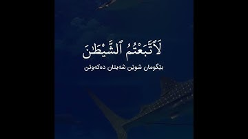 تلاوة مؤثرة من سورة النساء بصوت ادريس ابكر