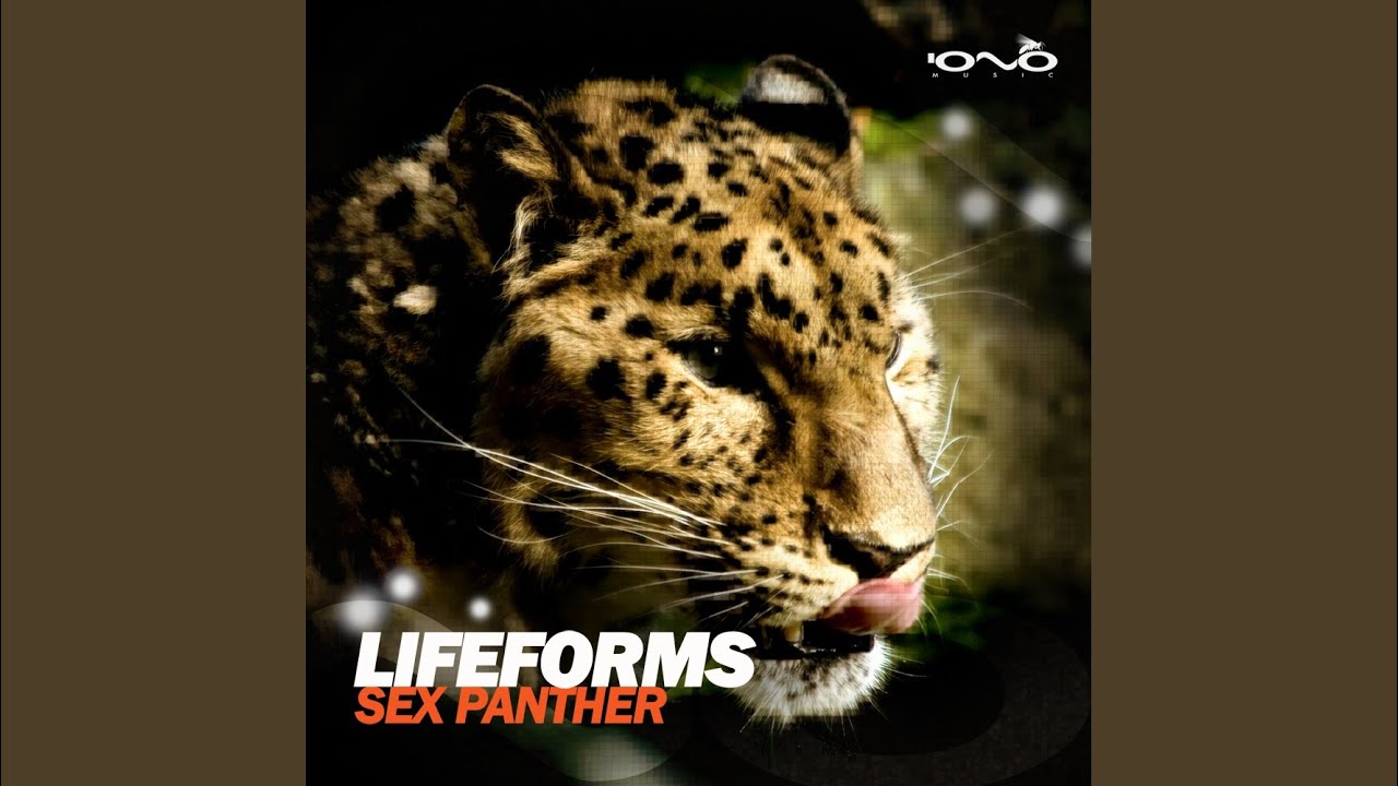 Sex Panther Youtube