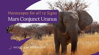 Mars Conjunct Uranus - Horoscopes for all 12 Signs