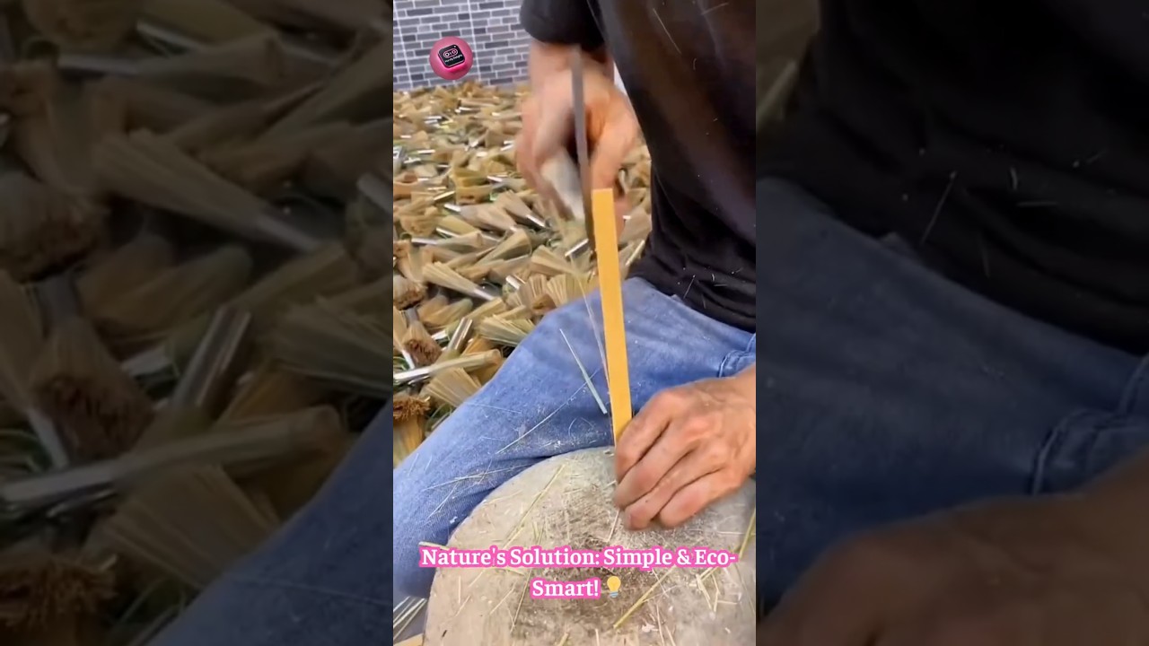 Eco Kitchen Hero: This Bamboo Scrubber Cleans Like MAGIC! 