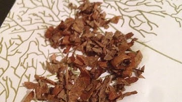 Create Beautiful Autumn Leaf Pictures - DIY Crafts - Guidecentral