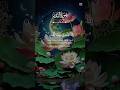 "Surat Al-Qadr Ki Tilawat | Powerful Quranic Recitation | Islamic Video"