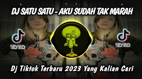 DJ AKU SUDAH  TAK MARAH WALAU MASIH TERINGAT - DJ SATU SATU VIRAL TIKTOK TERBARU 2023