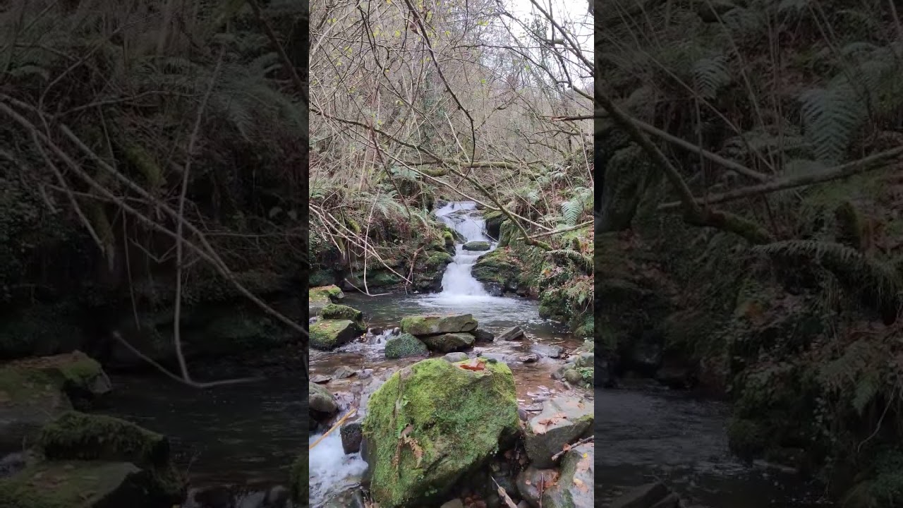 Sonido río CANTABRIA #rio  #cantabria #naturaleza #sonido #paz #relax #relaxing #sound