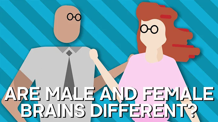 Are Male And Female BRAINS Different? | Earth Science - DayDayNews